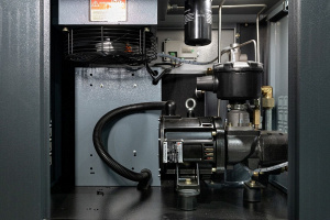 �������� ���������� TRIUMPH TH 50/10 VSD (������ ����� �����)