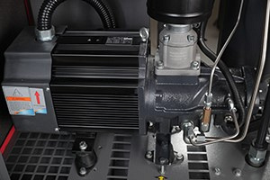 �������� ���������� TRIUMPH GAMMA 10 I