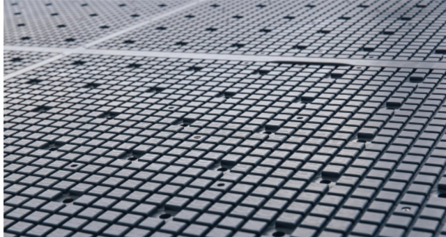      Beaver NEST CONCEPT F1  F1 LAB