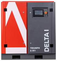 �������� ���������� TRIUMPH DELTA 300 I